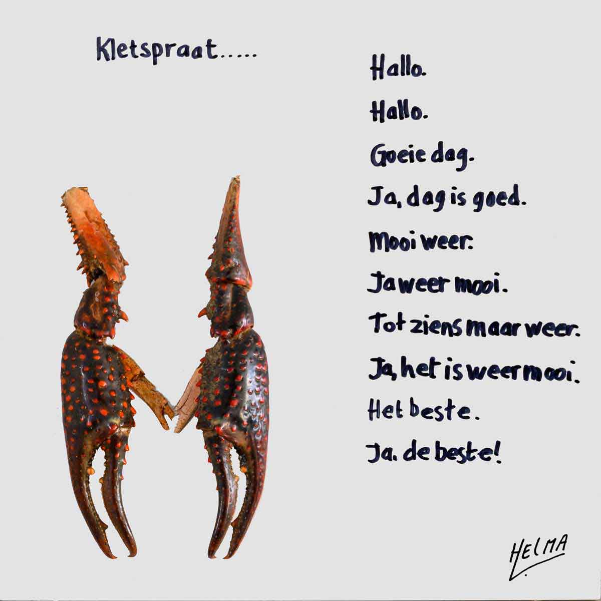 structuur (4)